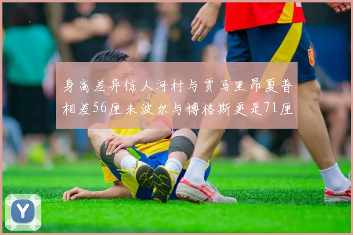 身高差异惊人河村与贾马里昂夏普相差56厘米波尔与博格斯更是71厘米